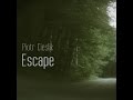 Piotr Cieslik Escape 