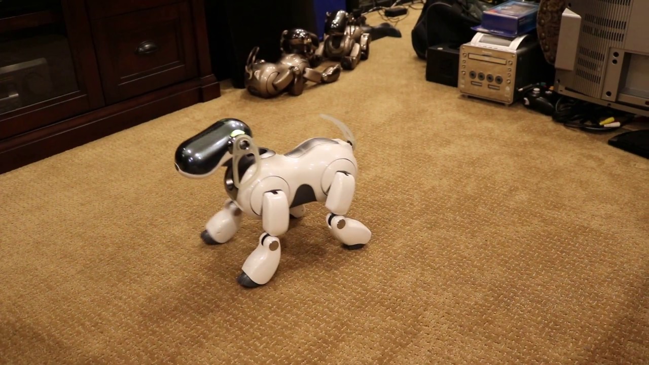 Sony AIBO ERS-7 Mind 1 Clinic Mode sensors & motion check