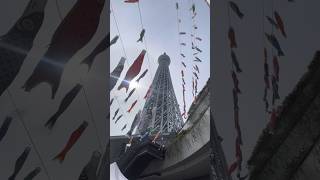 Tokyo Skytree Tower View Avenue Quiet Walk from Kinshicho Sta.  2024.04.29