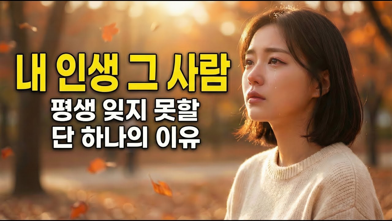일하면서 듣기 좋은 발라드 트로트  ㅣ 못 잊을 사람ㅣ 감성 발라드 트로트 ㅣ 카페트로트 