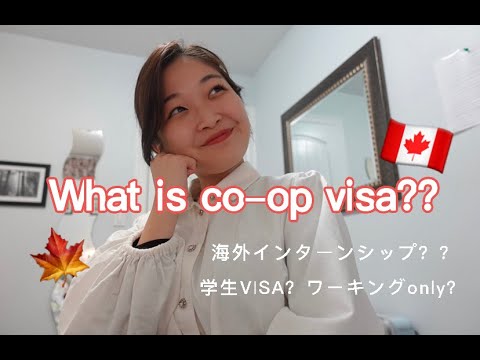 co-op visa とは？？