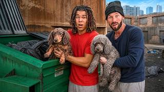 WE FOUND OUR LOST DOGS!!
