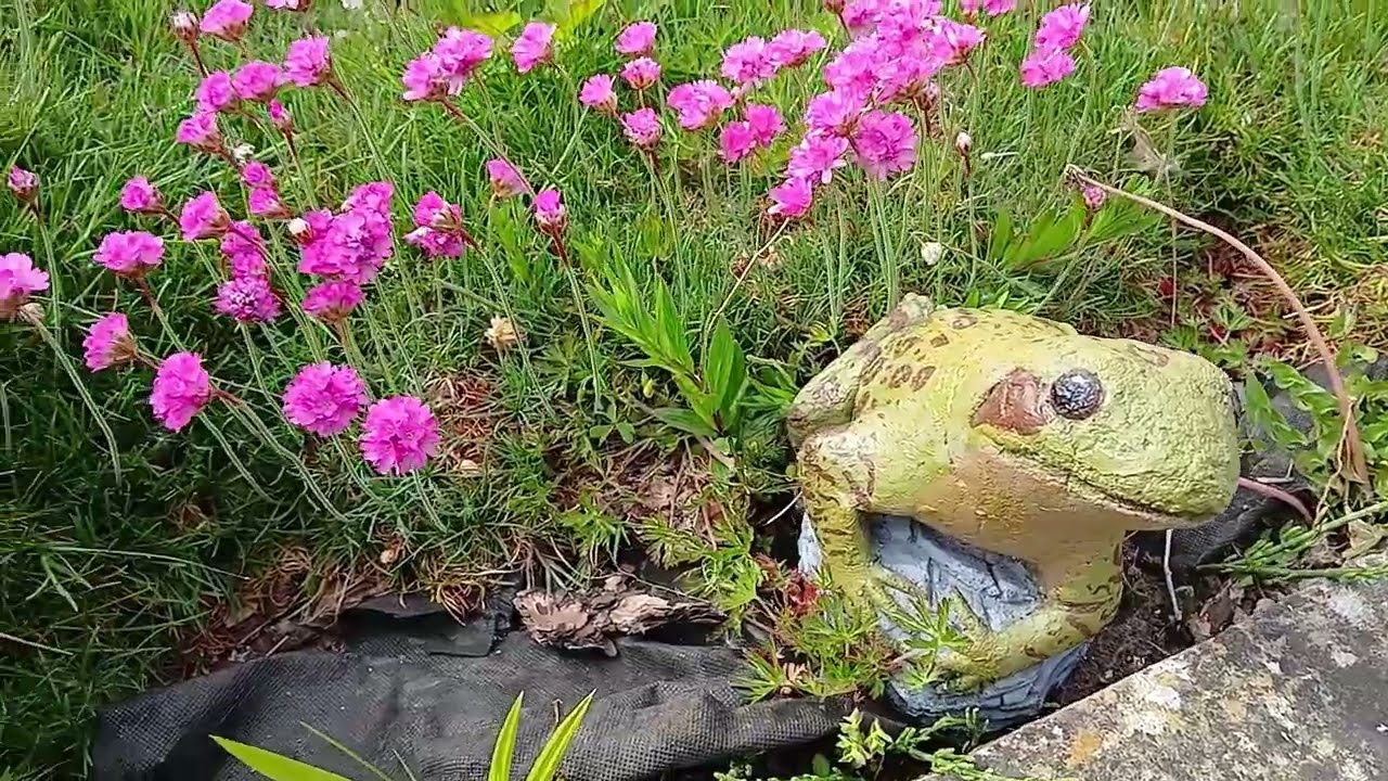 Painting Garden Statues episode 3 | The Croc and the Frog