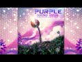 PSYCHILL - Purple Sound Seeds - Compiled by Earth Child [Full Album]