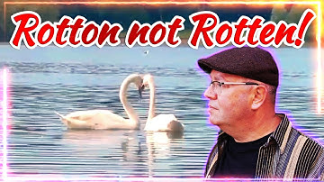 High & Dry? Quest To Keep Birmingham