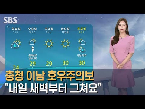 [날씨] 충청 이남 호우주의보…"내일 새벽부터 그쳐요" / SBS