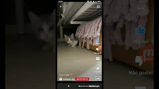 1 De Janeiro De 2022