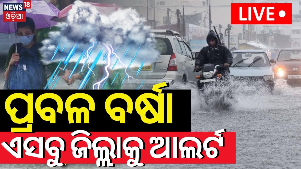 Odisha Rain | ପ୍ରବଳ ବର୍ଷା ଆଲର୍ଟ! | Heavy Rainfall Alert Issued For Next 5 Days |IMD Alert|Odia News