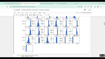 Credit Card Fraud Detection PSO in Python Projects