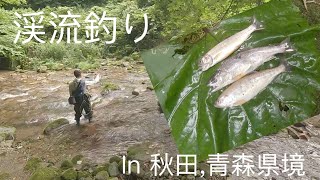 好喜心（こうきしん）vol11 ソロ渓流釣り in 秋田、青森の県境某所