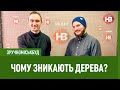 ЗручноМіськБуд: Чому зникають дерева?