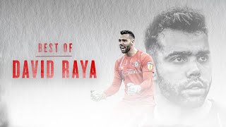 Saves of the Season: David Raya