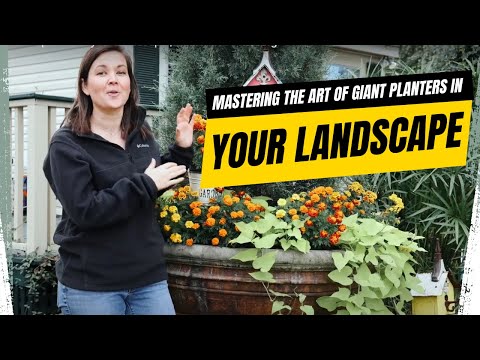 How to use a GIANT planter in your landscape | Catherine Arensberg