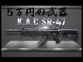 【AVA】いろぶき！AVA史上最強のAR武器！？【SR-47】