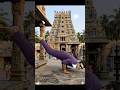 rai rai raa raa telagu song Tamil #viral #viralmusic ram teja#dance 🙏🙏🙏🙏