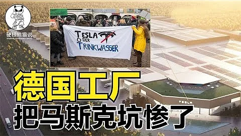 特斯拉被德国工厂坑惨了，它曾扬言打败中国，如今却成马斯克梦魇【硬核熊猫说】 - 天天要闻