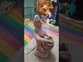 ##clay #shorts #viral #trending#thakur #art#craft#project