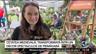 Cetatea Medievală, transformată într-un decor spectaculos de primăvară