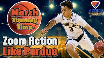 Zoom Action (Purdue University)