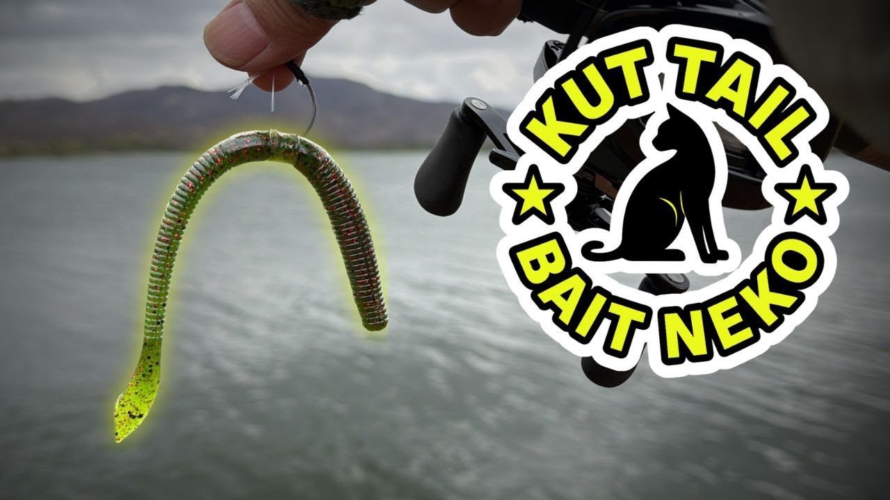 Baitcaster Neko Rig 101 – Gary Yamamoto Kut Tail Worm Setup
