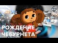 Рождение Чебурнета, Безумный мир