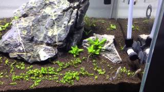 ADA MINI-M 'REDUX' Update
