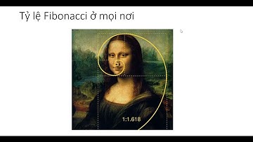 Bài 15: Công cụ Fibonacci Retracement là gì Hướng dẫn sử dụng chỉ báo Fibo