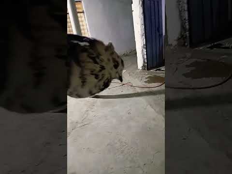 ٢٠ سبتمبر ٢٠٢٥