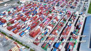 Why Megasoft Delivers On Time — Vertical Integration in a Volatile World screenshot 5