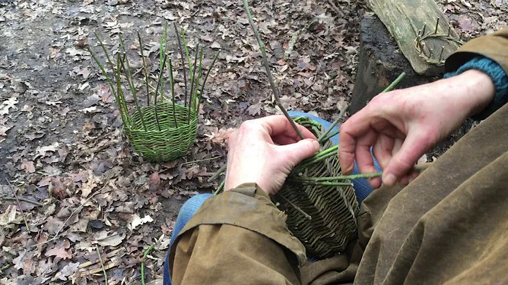 Making a Bramble (blackberry) Basket- 2