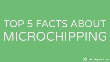Top 5 Facts About Pet Microchipping | FetchMyVet