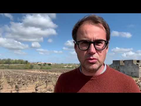 Pourquoi notre Domaine est unique et quelles sont nos cuvées ?