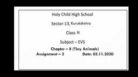 Class 3 EVS Chapter 8 Tiny Animals Part 2
