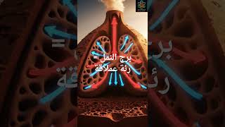 النمل الأبيض اخترع التكييف قبل البشر! 🐜❄ #معلومات #explorephysics #فيزياء_الأستاذ_عماد