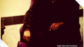 Adeel Sher Gill yara Dy Yar Veero