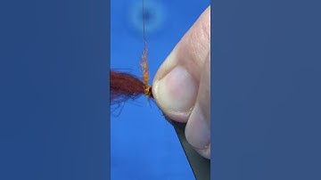 CDC Chocolate Drop Caddis SHORT