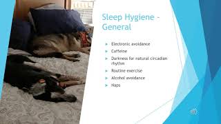 Nurse Health; Sleep Hygiene and Nutrition