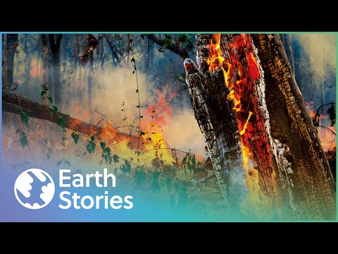 THE MOST DESTRUCTIVE FIRES IN HISTORY | DESPERATE HOURS