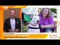 Rising costs hit Australian pet owners hard | Sunrise