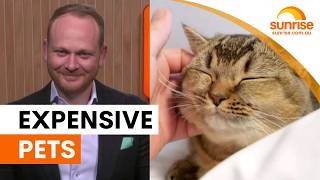 Rising costs hit Australian pet owners hard | Sunrise