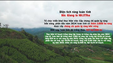 Bắc Giang tăng cường công tác bảo vệ rừng và phát triển kinh tế rừng