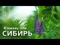 Я покажу тебе СИБИРЬ. 3 часть. Живые истории. Томская область.