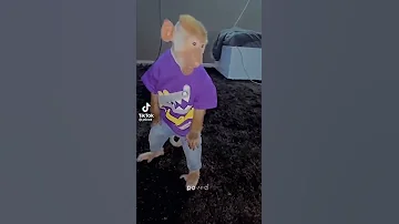 مدلل البيت خطبناله عروسه 