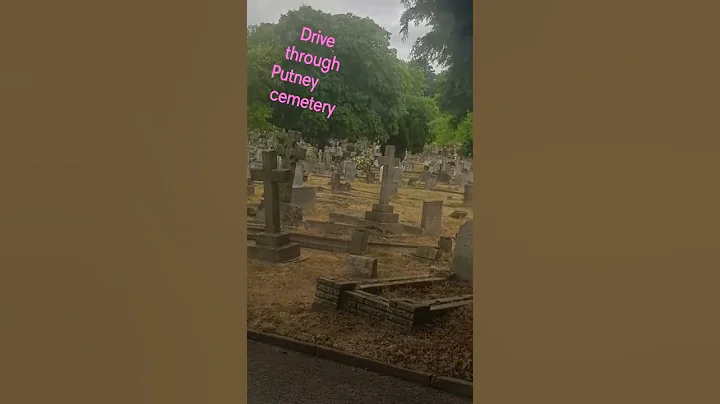 paranormal Angel
