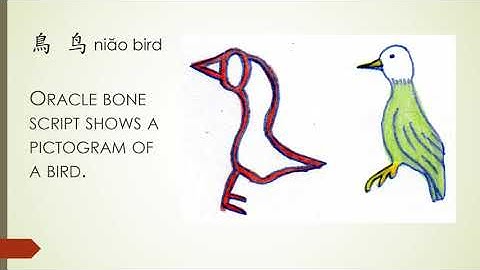 Chinese Oracle Bone Characters Explained in English Part 27