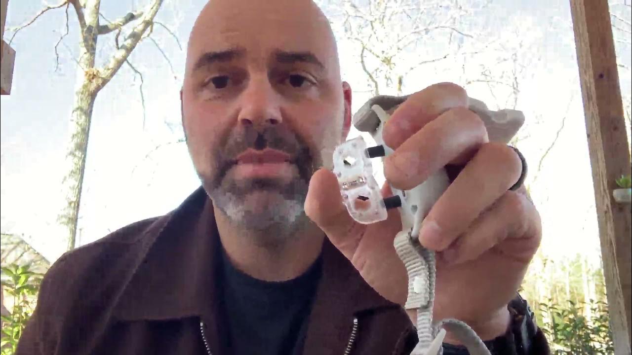 Patpet 680 Training Dog Collar Reviews YouTube