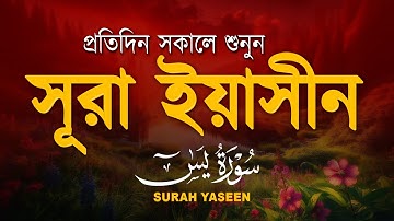 প্রতিদিন সকালে শুনুন ( سورة يس) সূরা ইয়াসীন | Surah Yasin | সকালের সেরা আমল | By Ismail Annuri