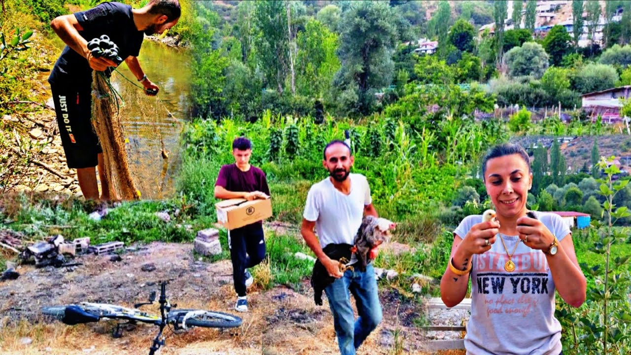 DEREDE BALIK AVI~CİVCİVLİ TAVUKLAR GELDİ~KÖY HAYATINA YENİ ADIM