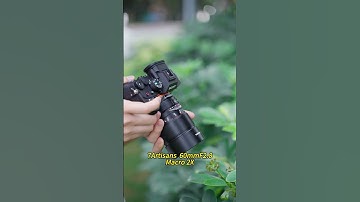 7Artisans 60mm F2.8 Macro lens delivers outstanding image quality and in 1:1 macro conditions!