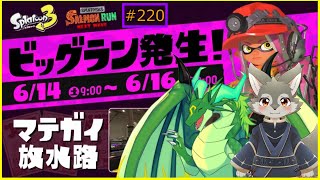 【Splatoon3】襲い来るサケを追い返せ！＜ビッグラン参加型＞w）緑竜リエル